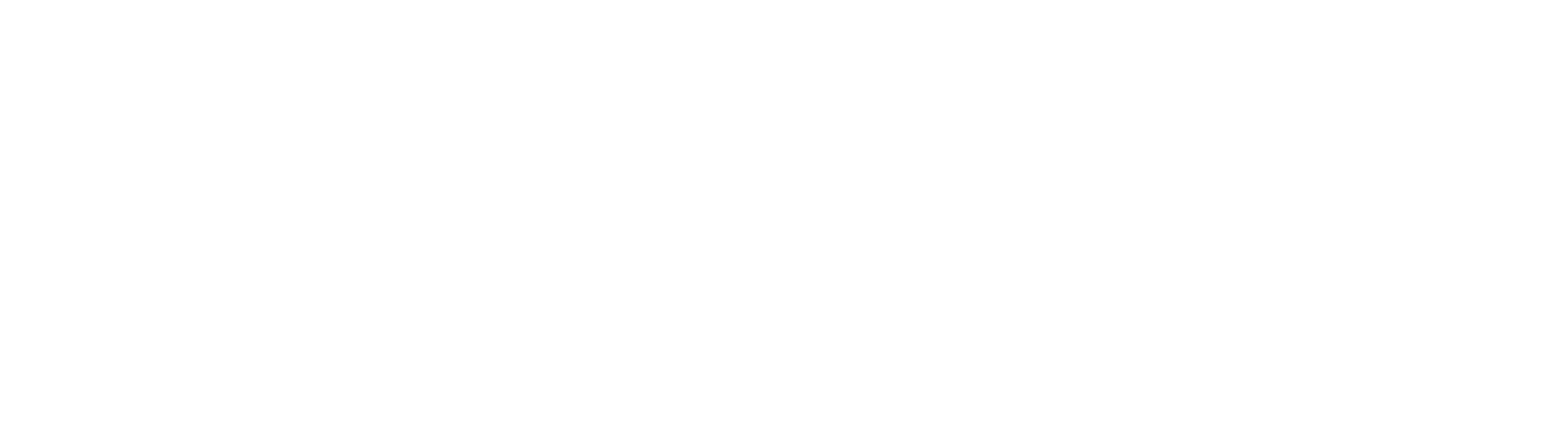 Silvia Logo